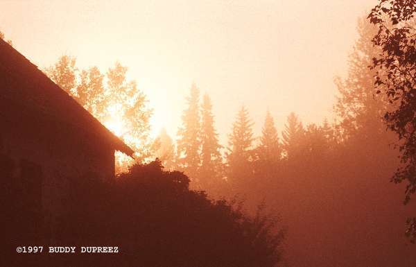 Fog 02 - ma14.jpg �1997 by Buddy du Preez, all rights reserved