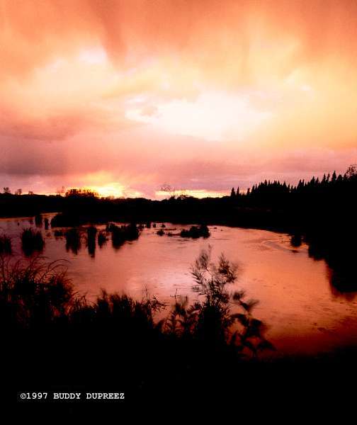 Sunset03 - ma21.jpg �1997 by Buddy du Preez, all rights reserved