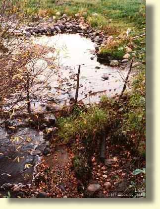 Tawatinaw1 - ma30a.jpg copyright �1997 by Buddy du Preez, all rights reserved; 41.5k