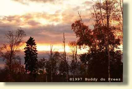 Tawatinaw3 - ma31a.jpg copyright �1997 by Buddy du Preez, all rights reserved, 19.8k
