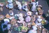 Produce Market �1998 Buddy du Preez, all rights reserved