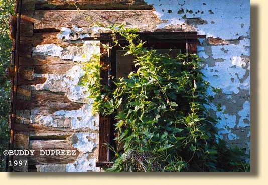 House01 - n2510a.jpg copyright �1997 by Buddy du Preez, all rights reserved48.3k