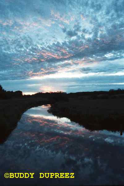 Sunset01 - n32-8.jpg �1997 by Buddy du Preez, all rights reserved