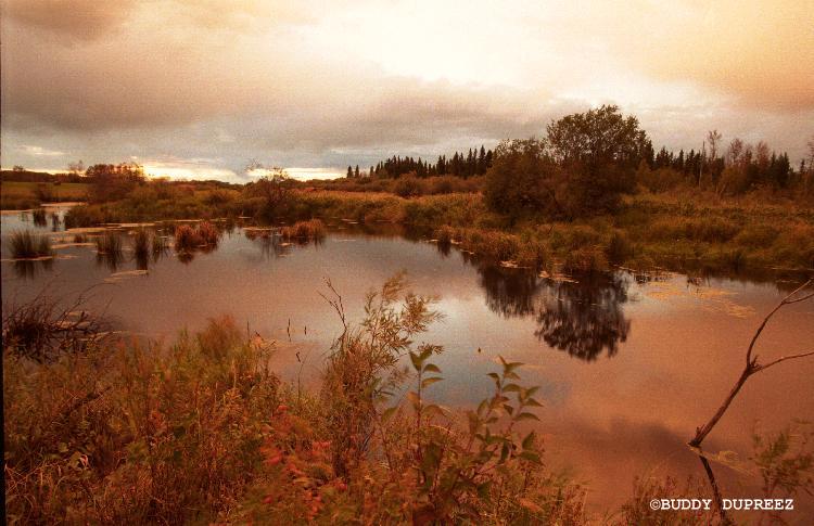 Landscape 5 - n41-1r.jpg �1997 by Buddy du Preez, all rights reserved