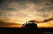 Rural Life 02 - n53-18.jpg �1998 by Buddy du Preez, all rights reserved