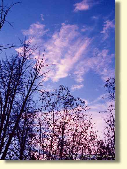 Tawatinaw2 - n4314a.jpg copyright �1997 by Buddy du Preez, all rights reserved, 42.3k