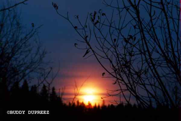 Moon01 - n58-08m.jpg �1997 by Buddy du Preez, all rights reserved