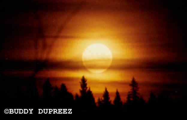 Moon01 - n58-09m.jpg �1997 by Buddy du Preez, all rights reserved