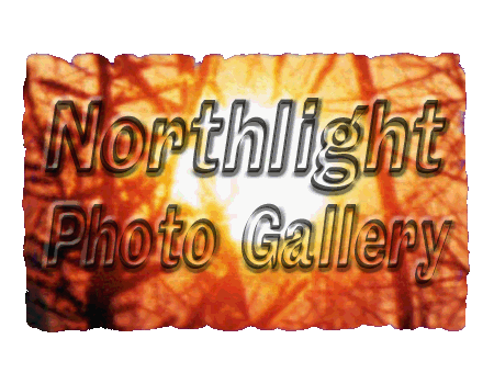 Welcome to Northlight Photo Gallery
