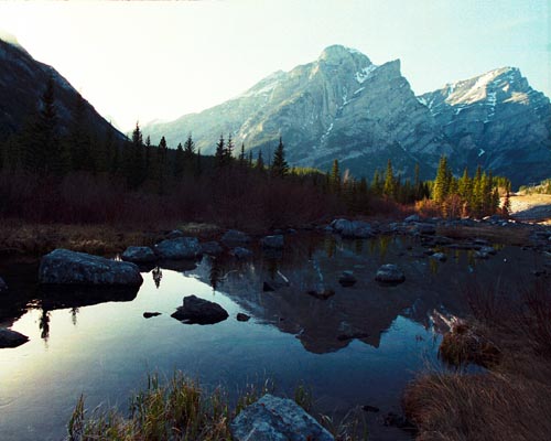 Reflections - 39k, copyright 1998 by Buddy du Preez, all rights reserved