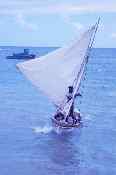 Sailboat �1998 Buddy du Preez, all rights reserved