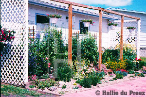Trellis garden - copyright �2000 by Hallie du Preez